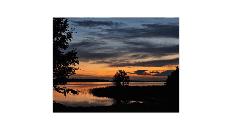 Runsorina Books, landscape from Finland